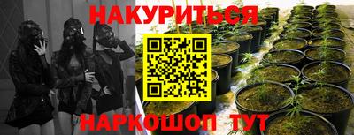 mdpv Новозыбков